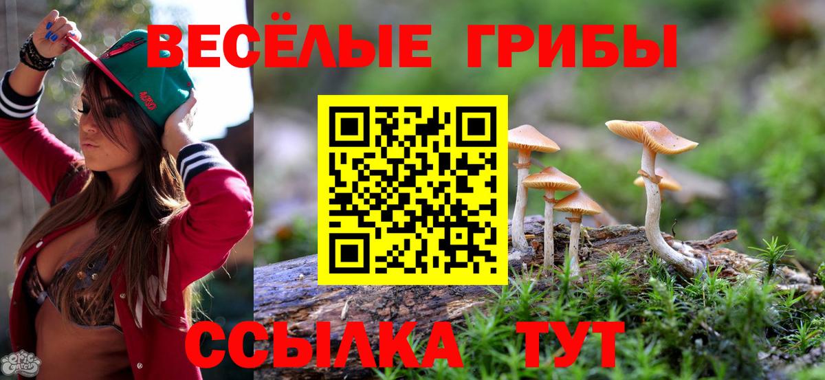 Псилоцибиновые грибы Cubensis Минусинск