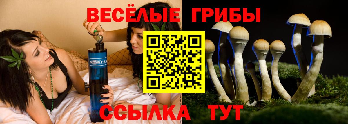 Меф Минусинск